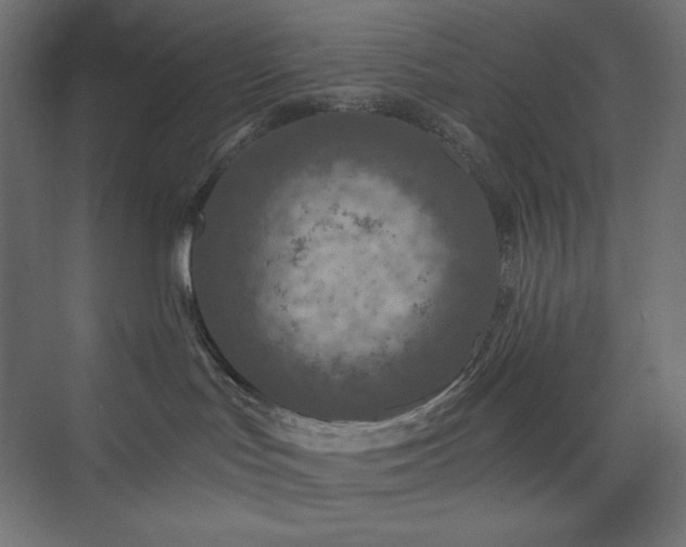 X0000073990047200608211359