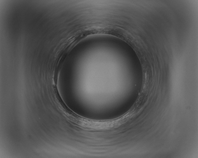 X0000073990048200608211359