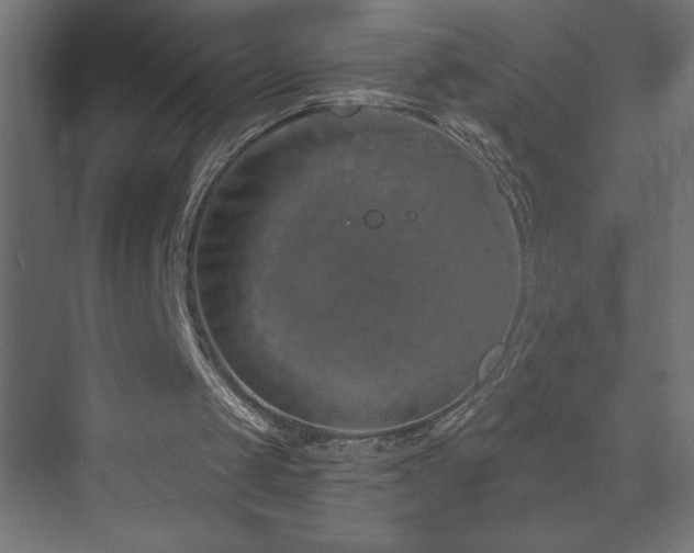 X0000073990049200608211358