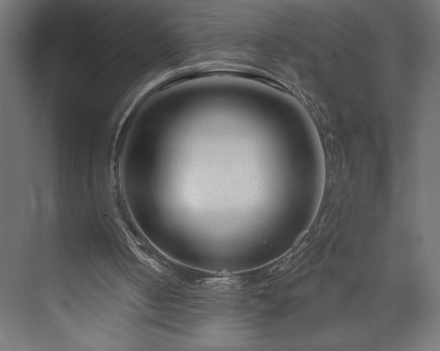 X0000073990050200608211358