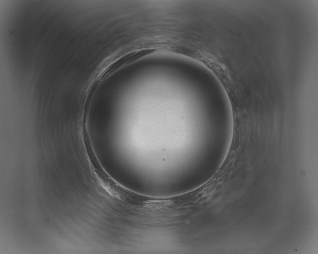 X0000073990051200608211358