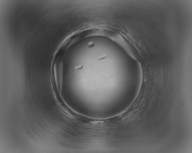 X0000073990052200608211358