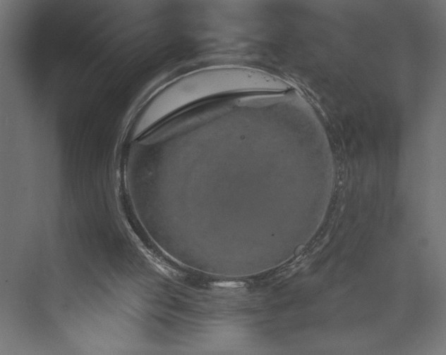 X0000073990053200608211358