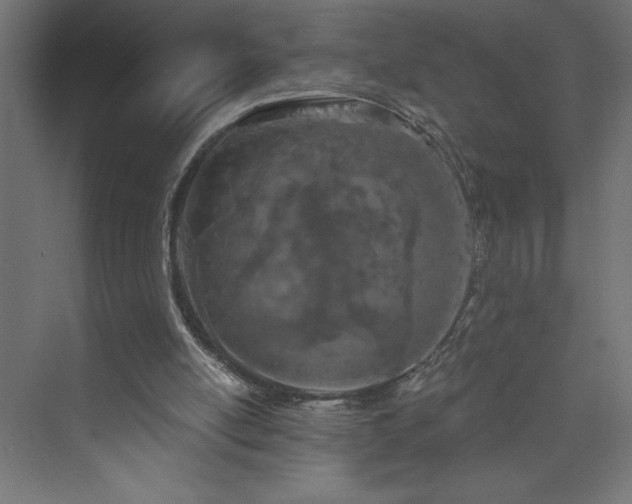 X0000073990054200608211358