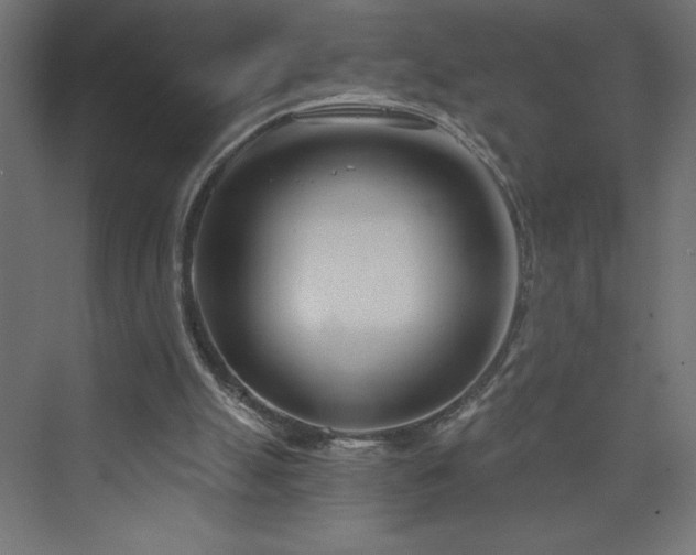 X0000073990055200608211358