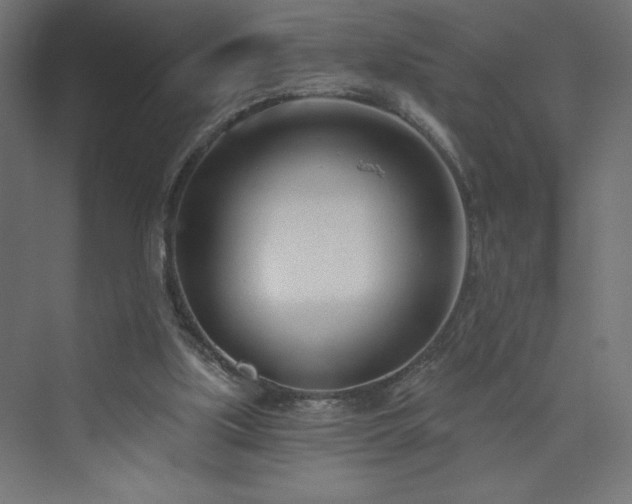 X0000073990059200608211358