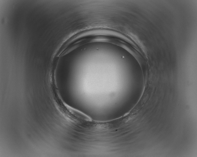 X0000073990060200608211358