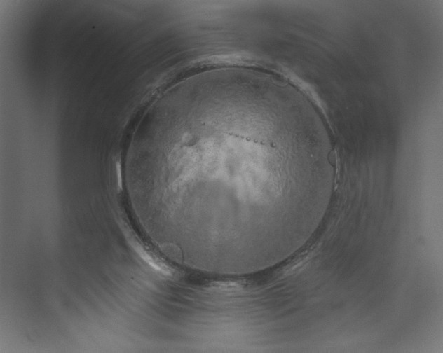 X0000073990061200608211358