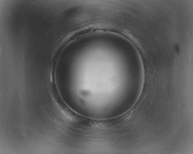 X0000073990062200608211358