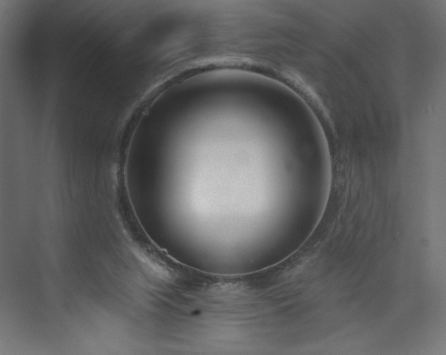 X0000073990063200608211358