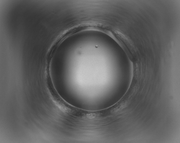 X0000073990064200608211358