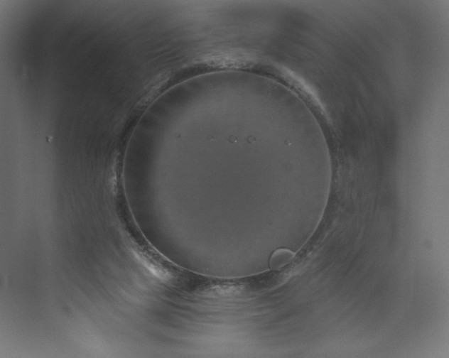 X0000073990065200608211359