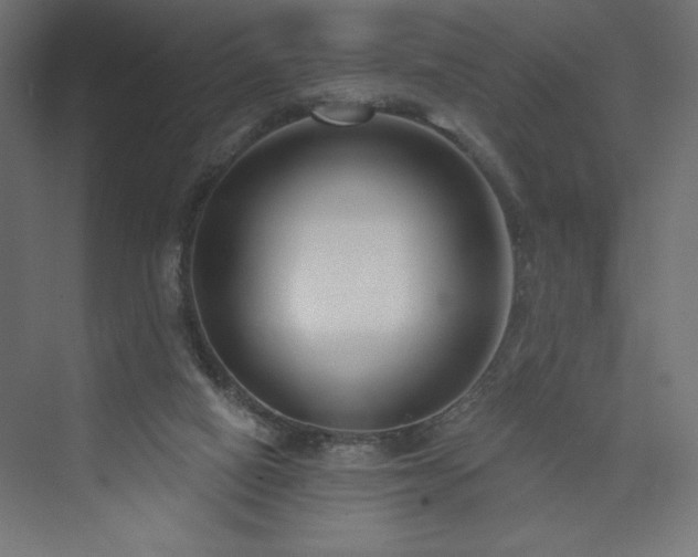 X0000073990066200608211359