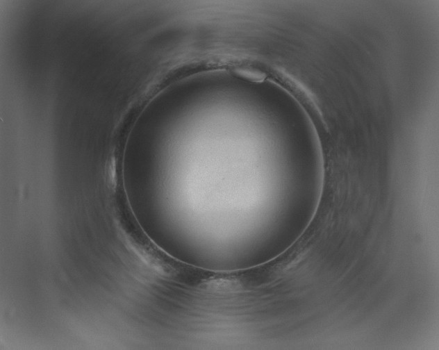 X0000073990067200608211359