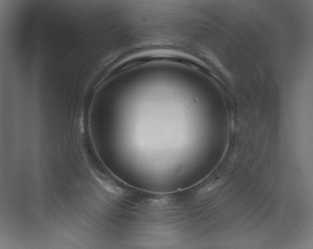 X0000073990068200608211359