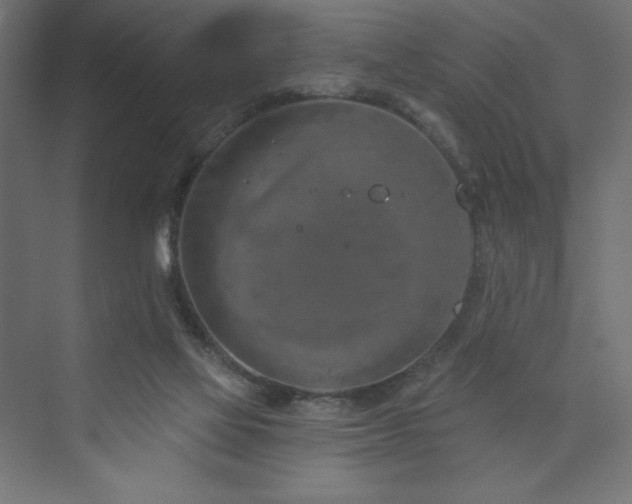 X0000073990069200608211359