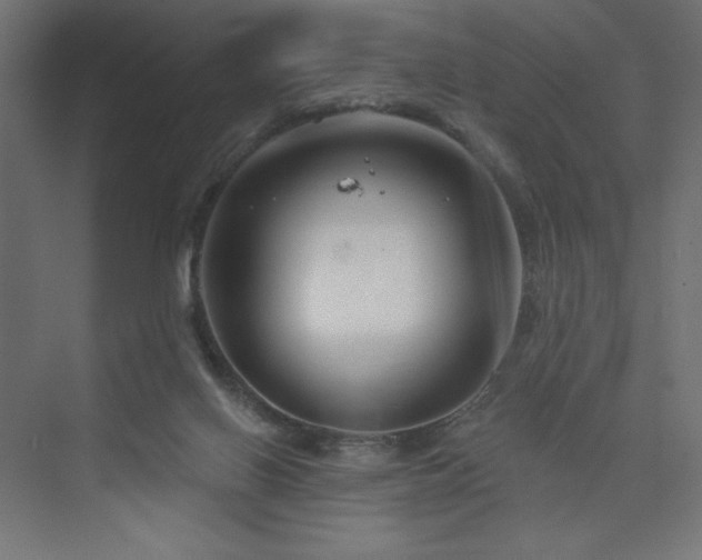 X0000073990070200608211359