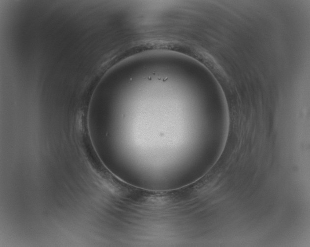 X0000073990071200608211359