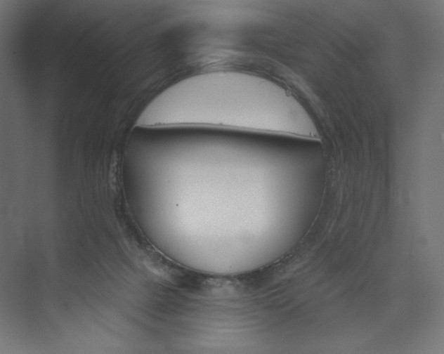 X0000073990073200608211359