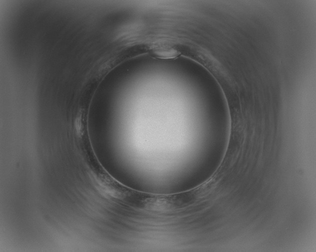 X0000073990074200608211359