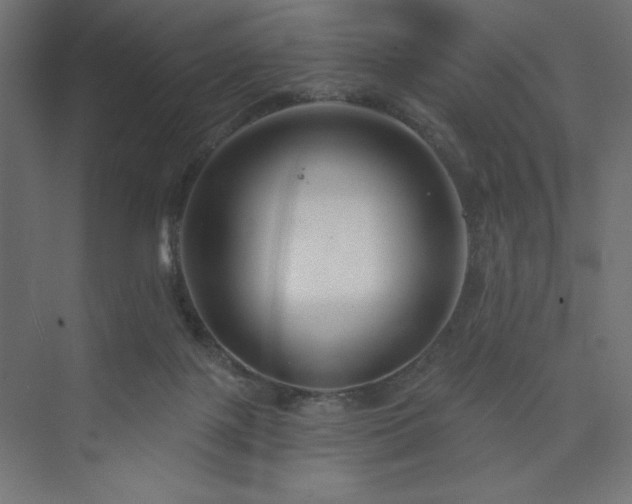 X0000073990075200608211359