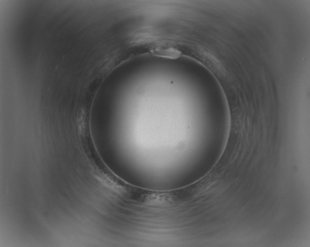 X0000073990077200608211359