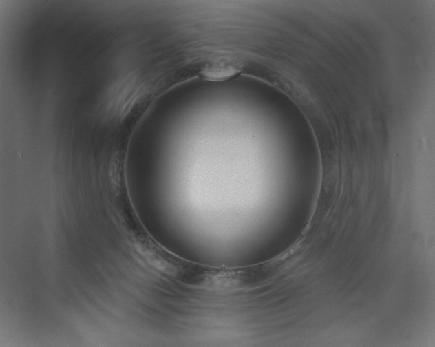 X0000073990078200608211359