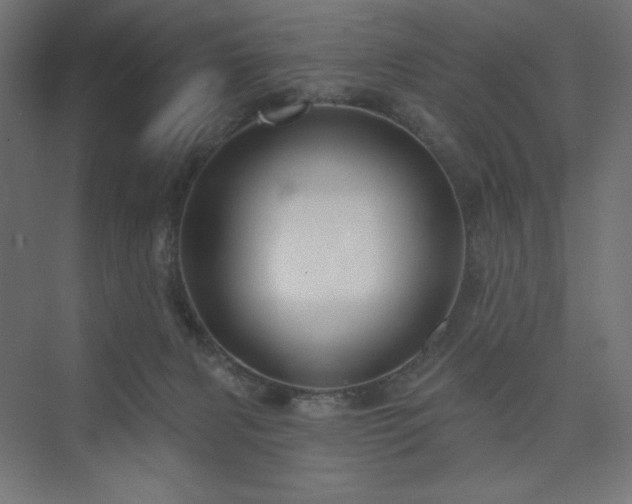 X0000073990079200608211359