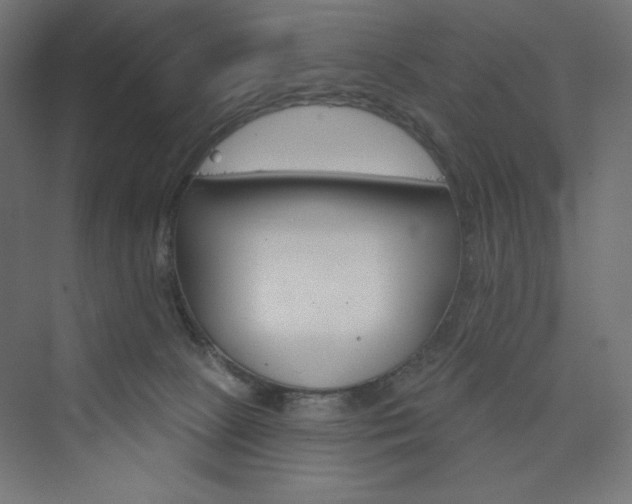 X0000073990081200608211359