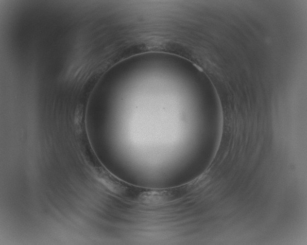 X0000073990082200608211359