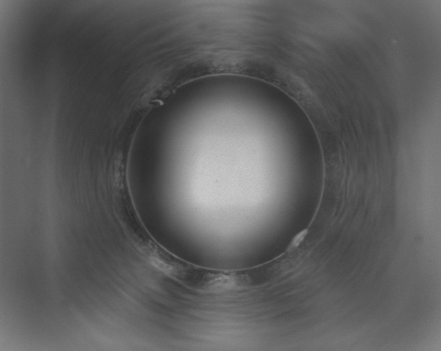 X0000073990083200608211359