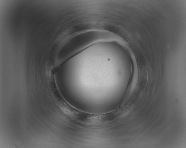 X0000073990084200608211359