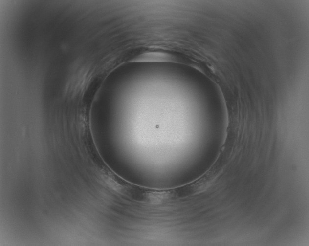 X0000073990085200608211359