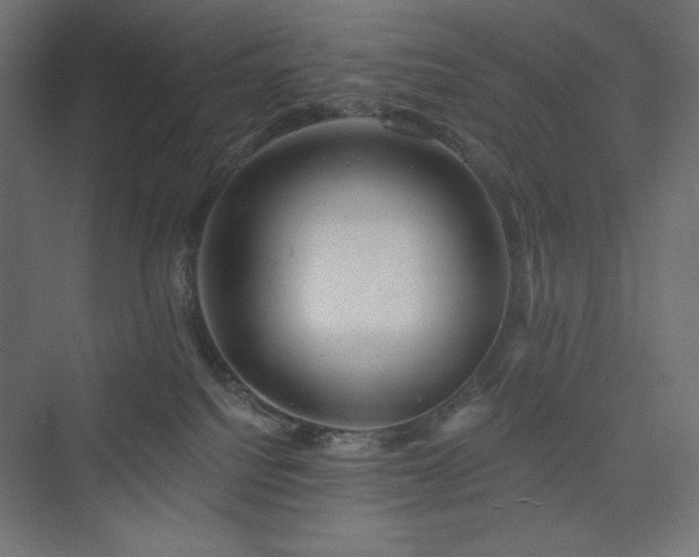 X0000073990088200608211359