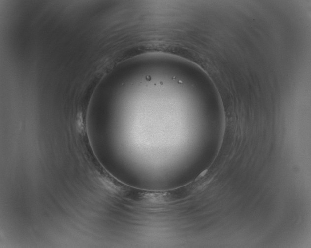 X0000073990089200608211359