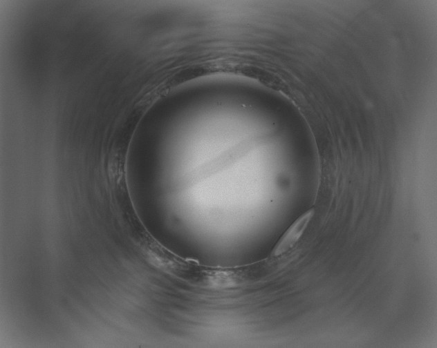 X0000073990091200608211359