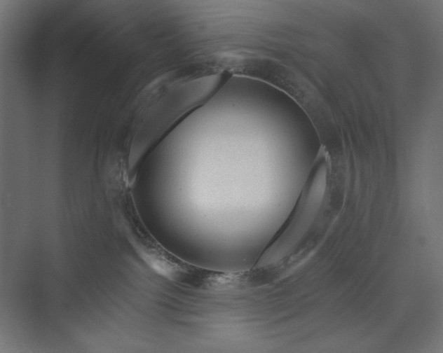 X0000073990092200608211359