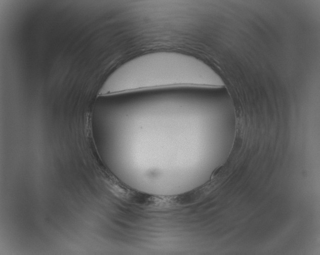 X0000073990093200608211359