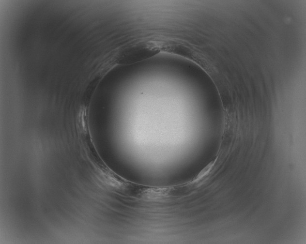 X0000073990094200608211359