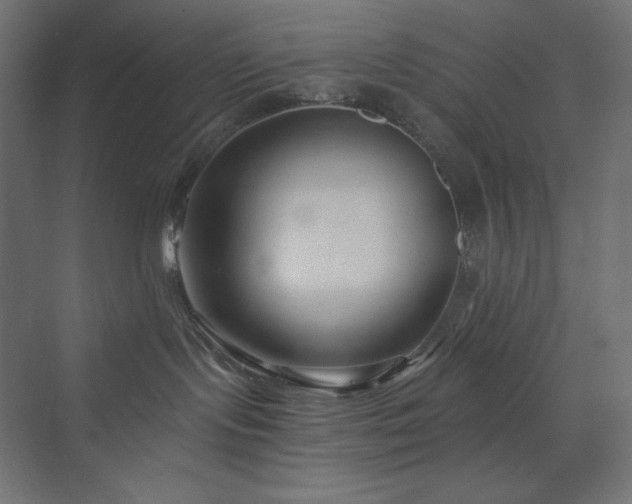 X0000073990095200608211359