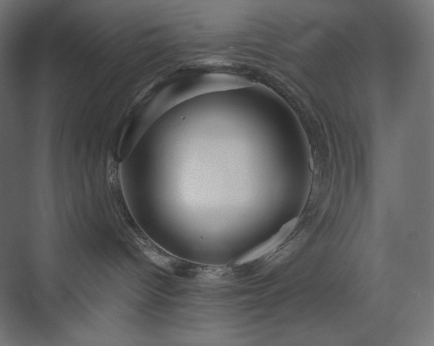 X0000073990096200608211359