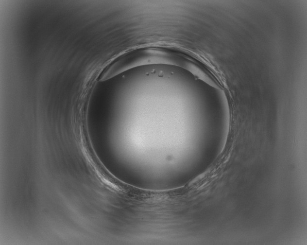 X0000073990097200608211358