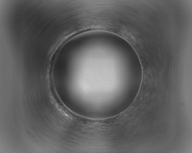 X0000073990098200608211358