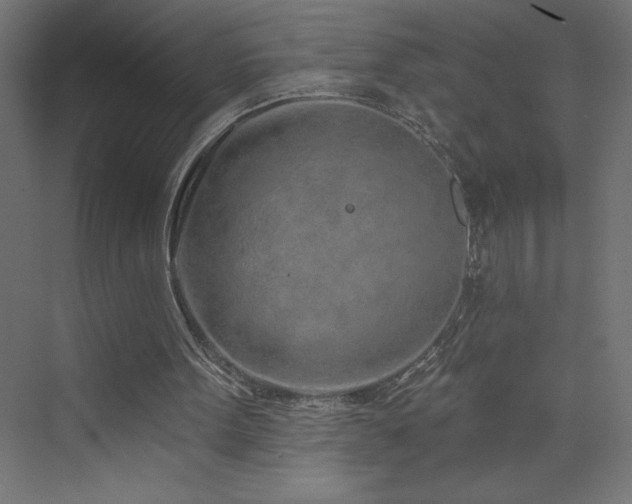 X0000073990099200608211358