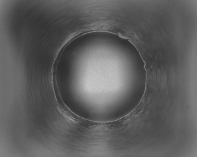 X0000073990100200608211358