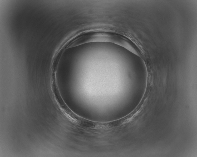 X0000073990101200608211358