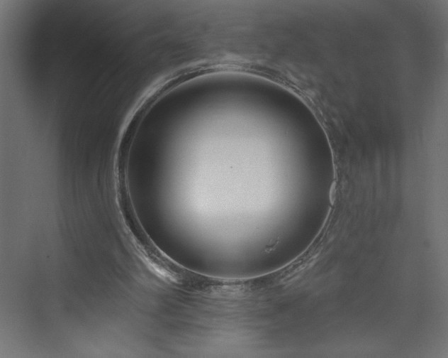 X0000073990102200608211358