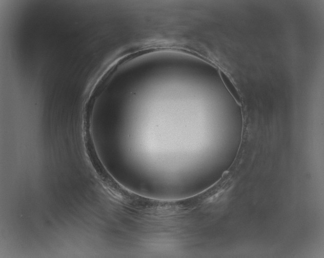 X0000073990103200608211358