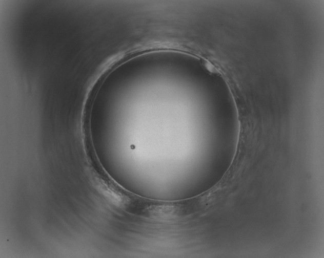 X0000073990104200608211358