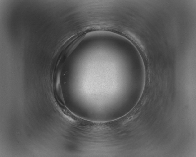 X0000073990105200608211358